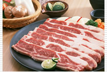 新機型衛(wèi)生性好